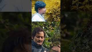 ghaari ghaari pasdai pasdai #vairalvideo