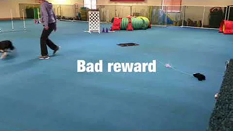 Savvy mat work
