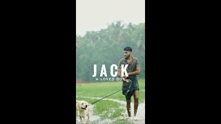 Jack A Loved Dog Vertical Short Video