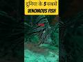 समुद्र के सबसे VENOMOUS FISH|| VENOMOUS FISHES IN THE WORLD #shortvideo #facts