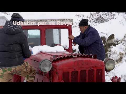 Exclusif. Tebboune va changer les billets de banque pour récupérer le cash de l’informel