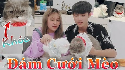 [Vlog] Gao Bạc Và Cô Ngân Chính Thức Tổ Chức Đám Cưới Cho Miu Miu Và Mum Mum. Cô Dâu Khóc Chỉ Vì...