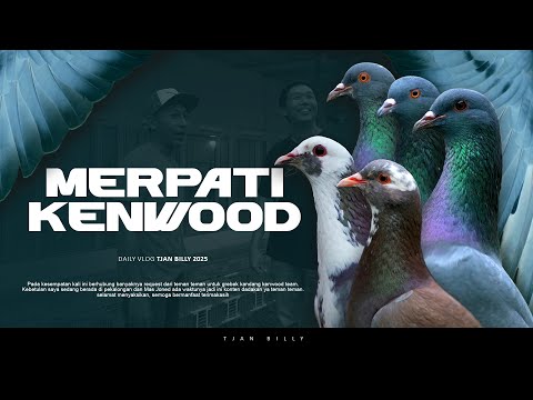 SPILL MERPATI ANDALAN KENWOOD TEAM PEKALONGAN