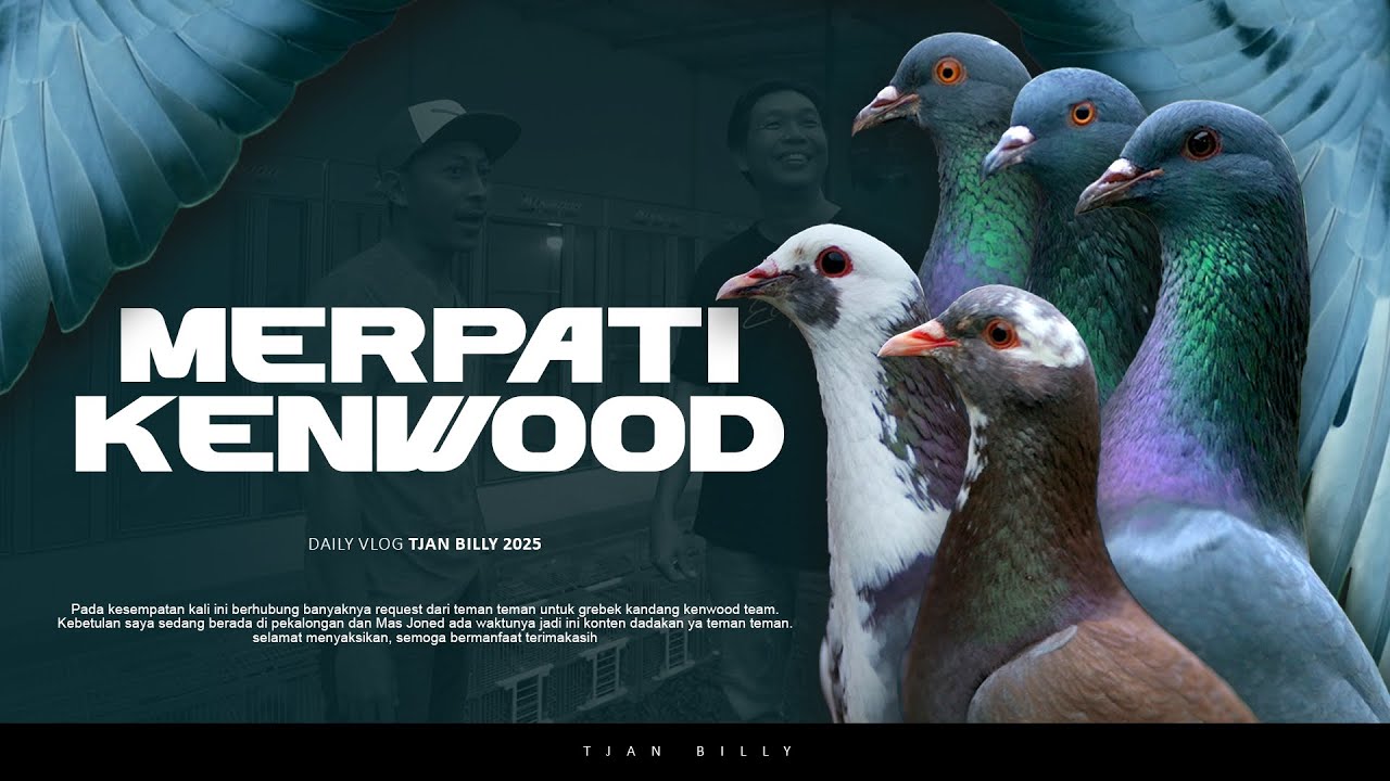 SPILL MERPATI ANDALAN KENWOOD TEAM PEKALONGAN