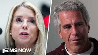 'Survivors in America are owed a real true deposition': Epstein survivor on Bondi interview