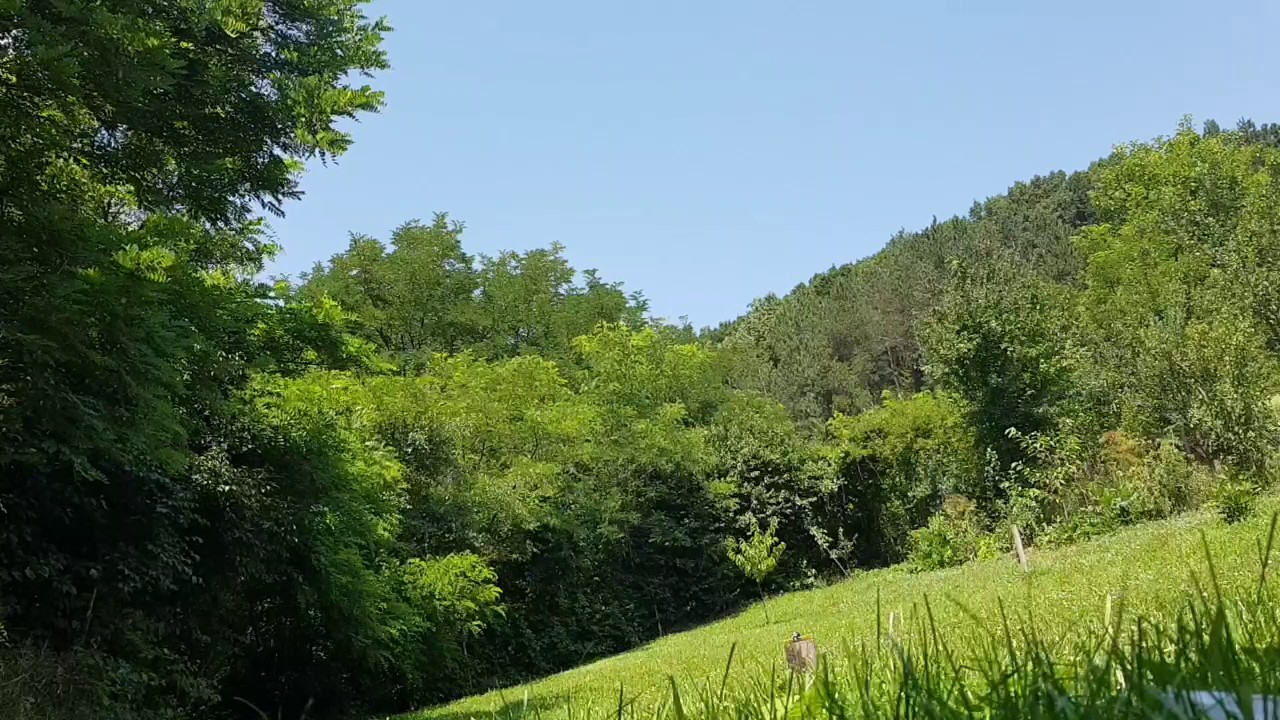 Eachine Racer 130 with Dys 3045x3 prop