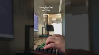 Switch test! Outemu Silent Peach on Dusk67, Silicon Pad, SA Keycaps #typing #switches #typingtest
