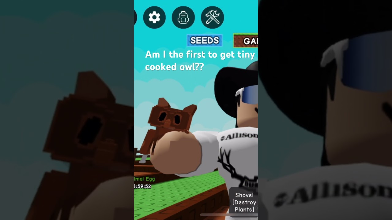 Tiny Cooked owl grow a garden 