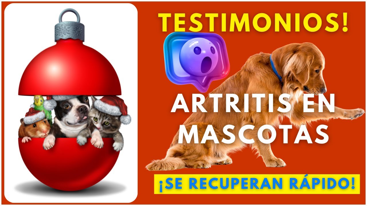 ❌Soplador de salud iTeraCare THz Vídeo Testimonios de Animales | España | USA | México | Panamá