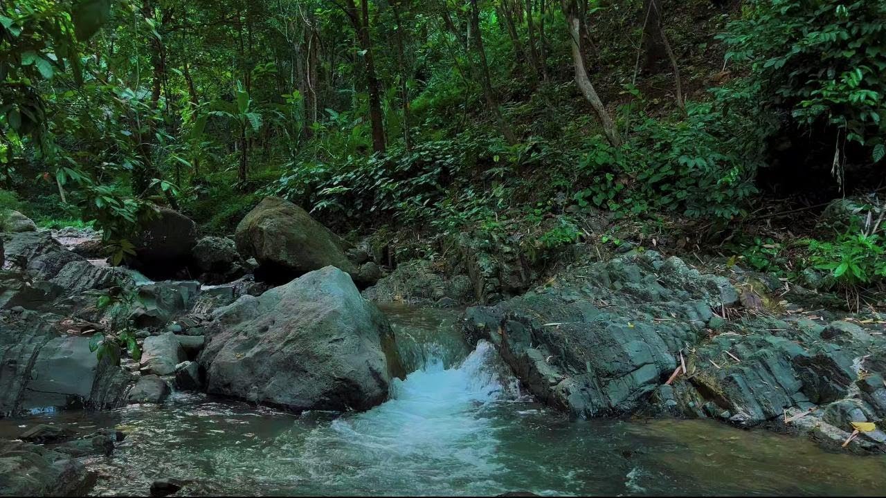 4K-HDR | Relaxing River Water Ambience to Sleep and Serenity | Calm Nature Sounds for Quiet Night