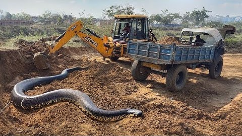 JCB 3dx Backhoe Loading Mud in Mahindra 475 Di tractor JCB miti Khudai #jcb #jcbvideo