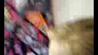 None (Video-0005.mpeg)