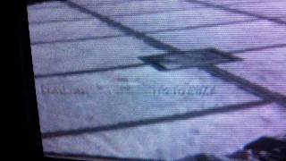 MW3 Arkaden Dubs Proof