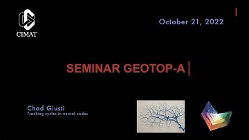 GEOTOP-A | Chad Giusti | Tracking cycles in neural codes