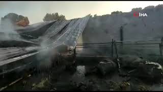 8 Büyükbaş, 18 Küçükbaş Hayvan Yanarak Telef Oldu