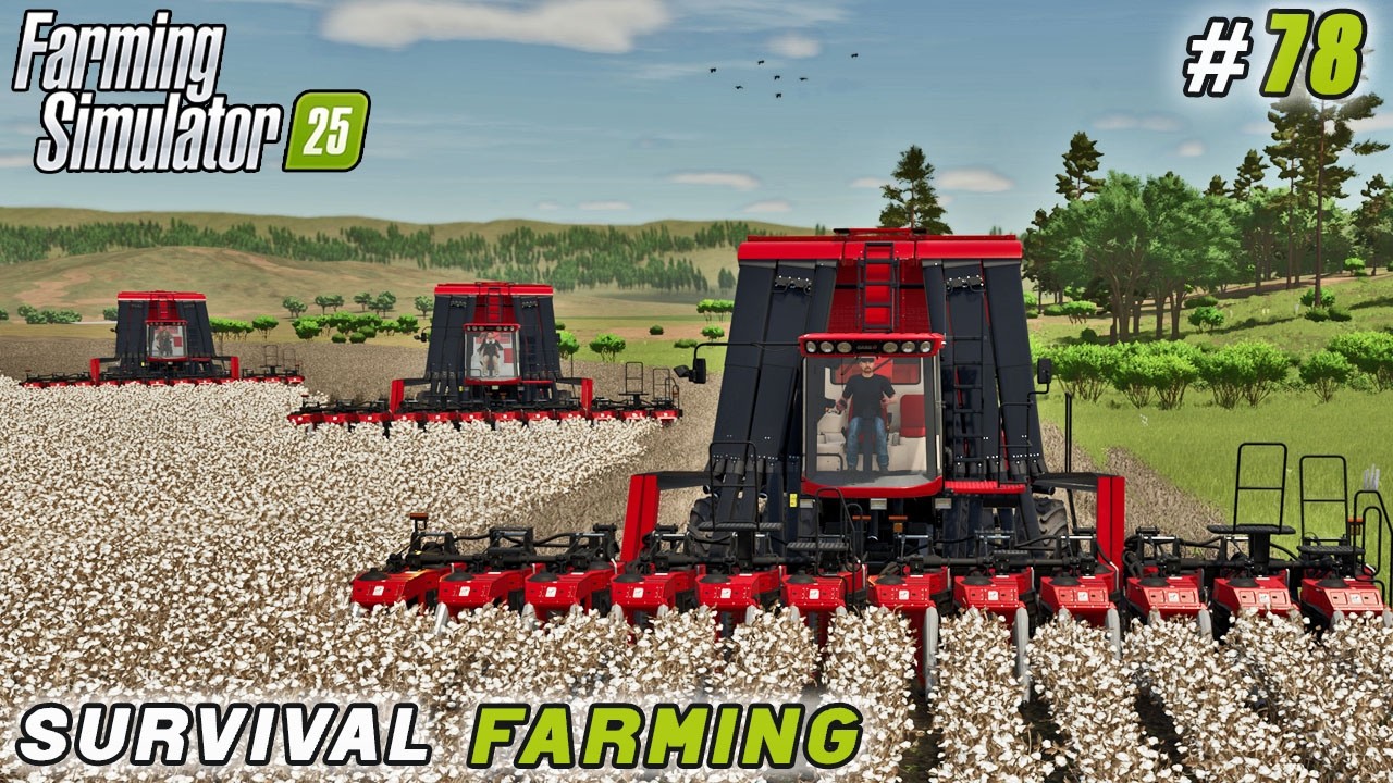 Финальный заезд NEXAT + Массовый сбор хлопка | Farming Simulator 25 | Survival Farming | Эпизод №78