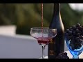 RED WINE  WITHIN 14 DAYS | How to make Easy Homemade Wine  PART - 1 | Christmas & New Year Special|