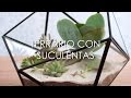 DIY - Cómo Hacer Un Terrario De Suculentas