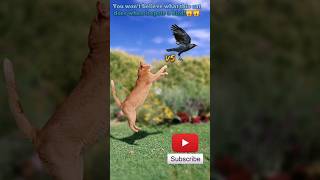 You won't believe what you see: cat catching bird in air. 🙀