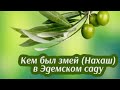 Кем был змей (Нахаш) в Эдемском  саду?