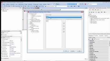 Delphi | طريقة التحكم في الواجهة الأساسية لبرنامجك و تغييرها