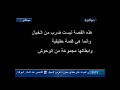 وثائقي زيارة لموقع جريمة عرس الدجيل 