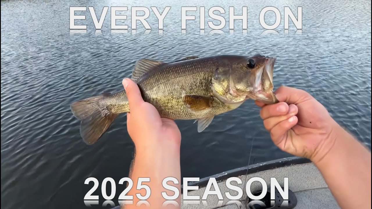 Every Fish On of the 2025 Season *COMPILATION*