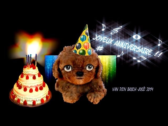 Joyeux Anniversaire Petit Chien Mignon Youtube