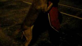 Grit - Night Mugging Scenario & Bitework