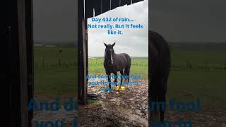 Mud season is back in KY. Everything is wet, sticky, slippery… shall I continue? 😂