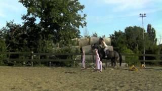 Jumping Coco :D [14.06.11]