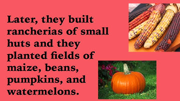 Infotopia Presents: Texas Indians-The Apaches of Texas