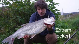 Wir Essen Einen Riesen-Rapfen