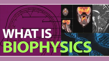 What is Biophysics | Applications of Biophysics | Examples of Biophysics | Physics Concepts