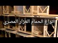 انواع الحمام المصري الغزار 