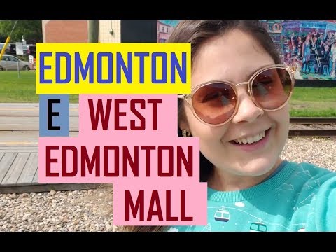 Vídeo: Qui és el MLA d'Edmonton?