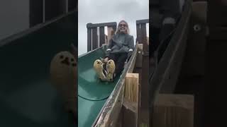 Wee #foryou #foryoupage #funny #animals #fail #dogs #fypage #dogsofti...