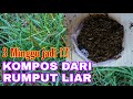 Membuat kompos dari rumput liar  ide usaha pertanian