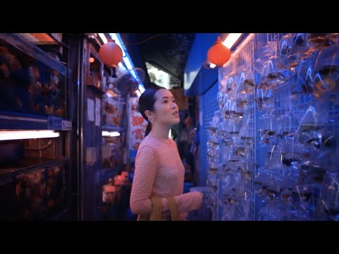 HKTB - Fashion Designer
