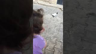 Linanın Hayvan Sevgisi