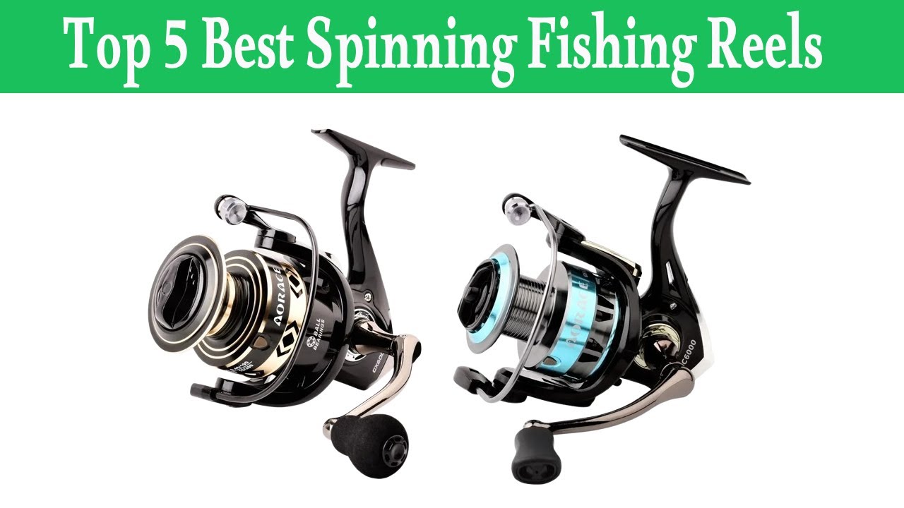Top 5 Best Spinning Fishing Reels In 2024 - YouTube