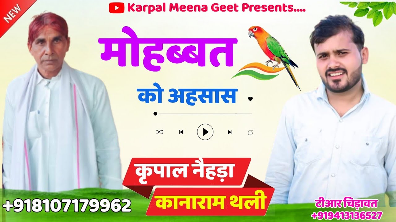 02 || लव स्टोरी मीणा गीत || छोरी थारी बोली सु भर ज्या पेट || कृपाल नैहड़ा & कानाराम थली ||