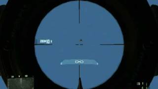 Crysis - Frosch-Bug