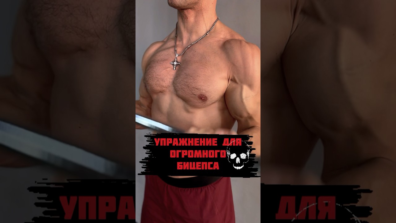 Упражнение на бицепс 