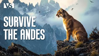 THE ANDES | The Last Wild Refuge of South America – Animal Documentary