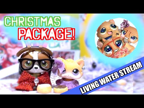 🎁 Christmas Package!🎄 Living Water Stream