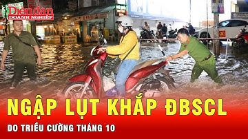 ĐBSCL oằn mình trước triều cường: Ngập sâu, đê vỡ khắp nơi | Tin tức 24h