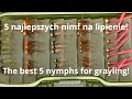 5 najlepszych nimf na lipienie! The best 5 nymphs for grayling!