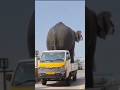 Other Pick Up Vs Tata Pickup Automobile Modificition Tatamotors 