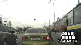 Auto Vines №62